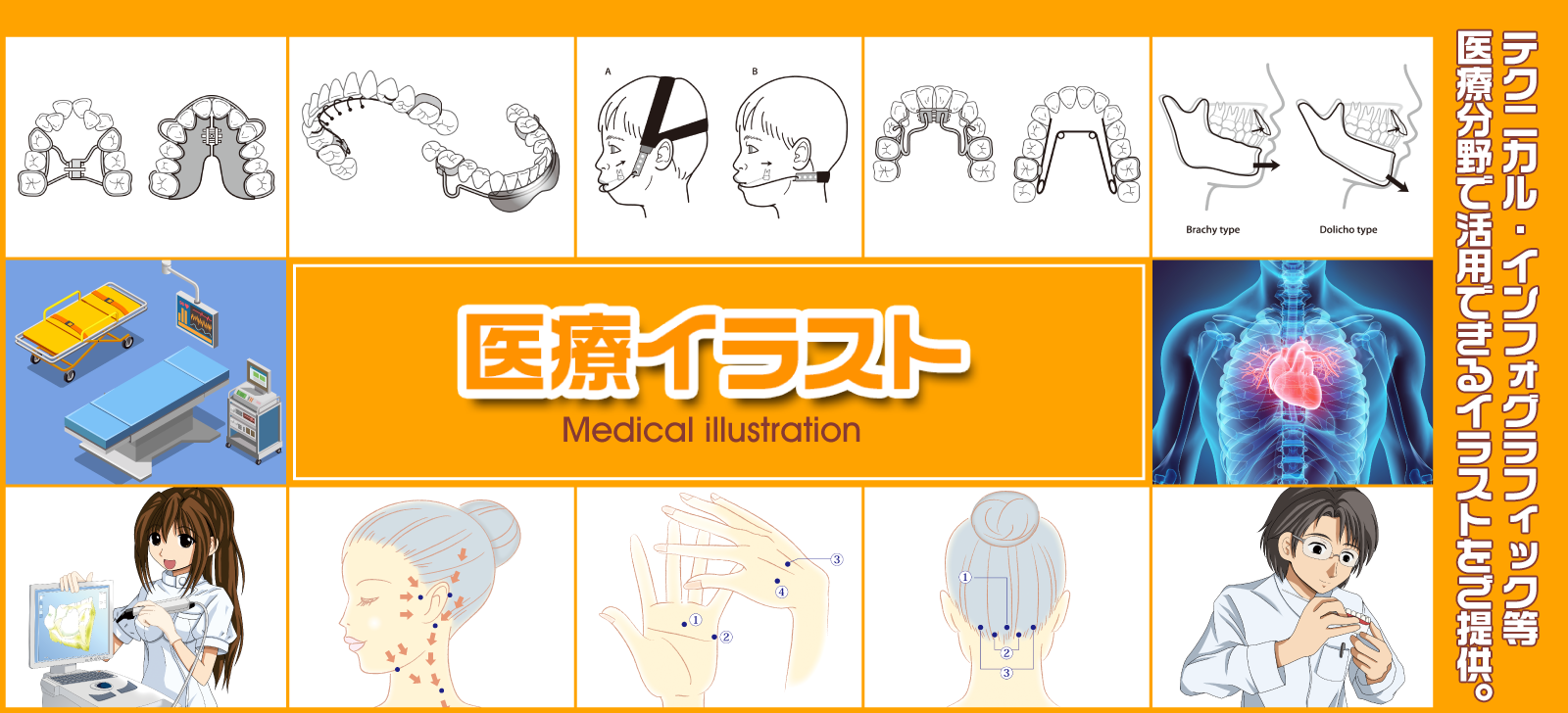 imagemedicalillust